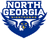 North Georgia Nighthawks
