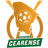 Logo Campeonato Cearense