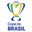 Copa Do Brasil icon