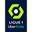 França Ligue 1 icon