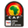 Copa Africana de Naciones icon