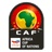 Logo Africa Cup of Nations