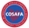 Copa Cosafa icon