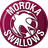 Moroka Swallows