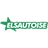 Elsautoise