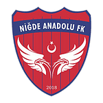 Niğde Anadolu