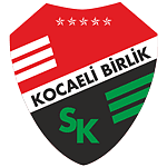 Körfez Spor