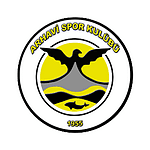 Arhavispor