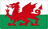 Wales U21