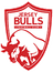 Jersey Bulls