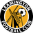 Leamington Lions