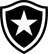 Botafogo U20