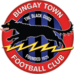 Bungay Town