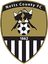 Notts County W