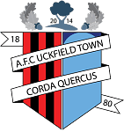 Uckfield Town