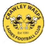 Crawley Wasps W