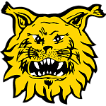 Ilves Tampere