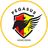 Pegasus