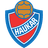 Haukar