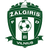 FK Zalgiris Vilnius