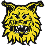 Ilves Tampere