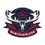 Newfoundland Regiment